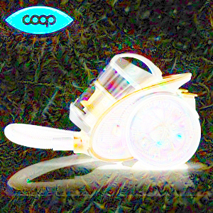 Tiburtina Vigilantes.